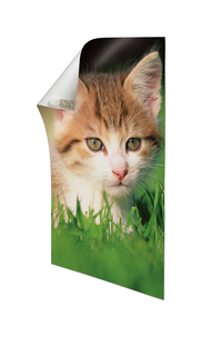 Command kiinnityspalat julisteille, tarrakiinnitys, 12 kpl