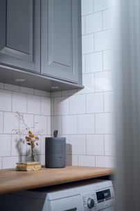 Torrbollen Home Series 6 Ilmankuivain, 25 m2