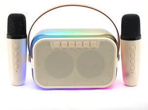 Karaokehögtalare med 2 trådlösa mikrofoner