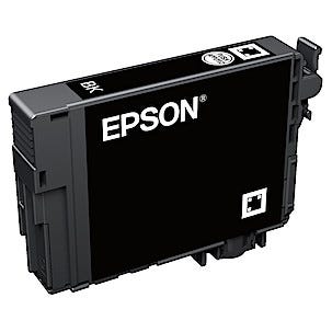 Epson 502 Binocular Mustepatruuna