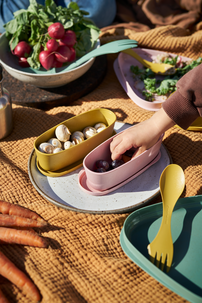 Spork Original BIO Nature, 4 kpl