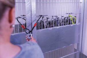 Abus Touch 57/45 hänglås med fingeravtryck, utomhus