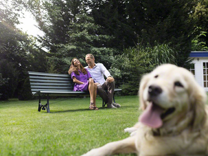 Grästrimmer Bosch ART 23-18 LI