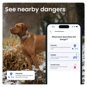 Tractive Dog 6XL GPS-tracker for stor hund