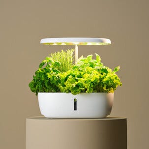 Hydroponisk odling kit 12 odlingspluggar och växtlampa LED