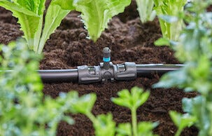 Gardena T-koppling med spridarfäste 13 mm, 5-pack