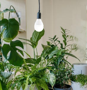 Kasvilamppu LED E14 sisäkäyttöön, 8 W