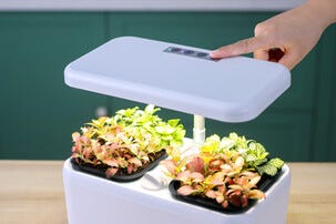 Växtbelysning LED med självvattnande krukor och timer