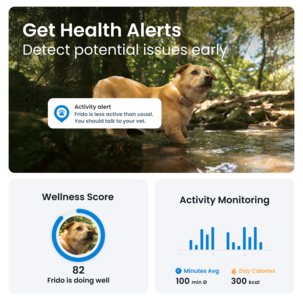 Tractive Dog 6 GPS-tracker for hund