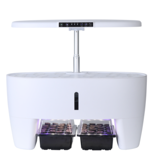 Sett for hydroponisk dyrking med 16 plugger, innendørs