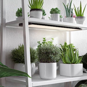 LED-kasvivalaisin teline ja ajastin, musta