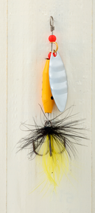 Betessats 10-pack Gavia