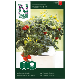 Nelson Garden Twiggy Red F1 körsbärstomat frö, röd