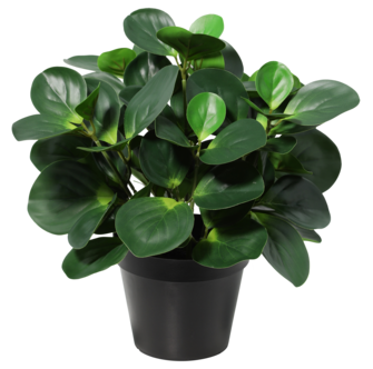 Konstväxt i kruka Fredsgrönska 35 cm