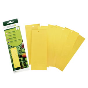 SafeTrap hängande limfälla mot insekter, 6-pack