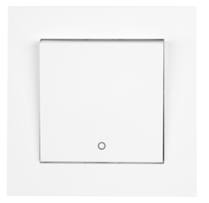 ELKO Plus bryter 2-pol innfelt