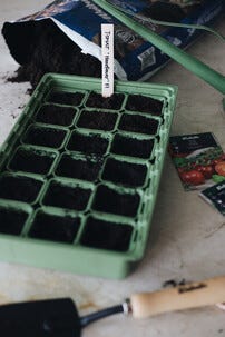 Weibulls Hobby drivhus inomhus, plast, 36 x 22 x 15 cm