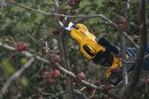 Stiga SC 100e Kit batteridrevet hagesaks, 1 batteri 20 V