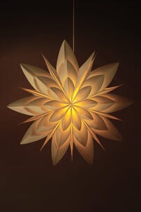 Northlight adventsstjärna blomma, vit, 50 cm