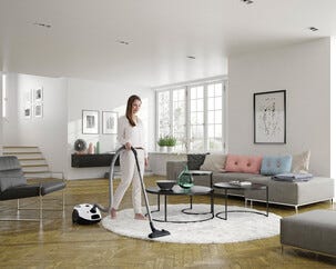 Electrolux PowerForce EPF61IW Pölynimuri