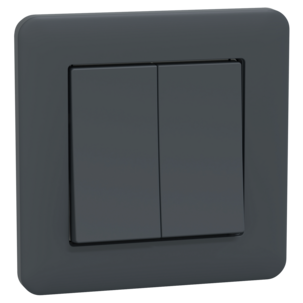 Schneider Exxact strömbrytare kron, infälld, antracit