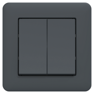 Schneider Exxact strömbrytare kron, infälld, antracit