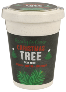 Frö i kruka, Julgran