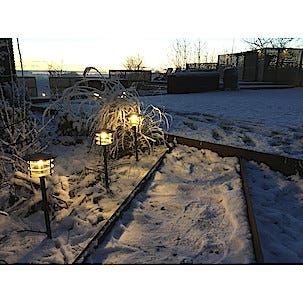 Trädgårdsbelysning Poppy LED 3-pack