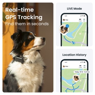 Tractive Dog 6 GPS-tracker for hund