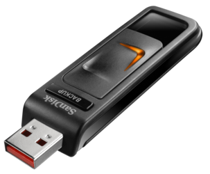 USB-minne/backup 8GB Sandisk