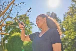 Gardena PremiumCut sekatör med mothåll