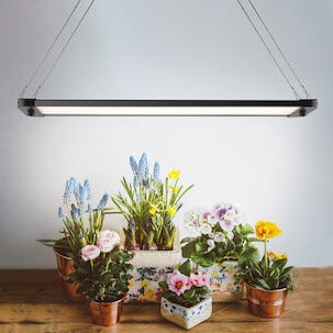 LED-vekstlys med stativ og timer, svart