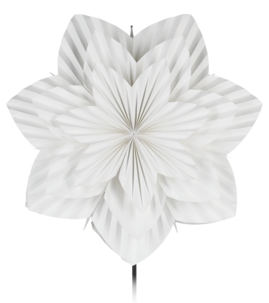 Northlight adventsstjärna veckad blomma, vit