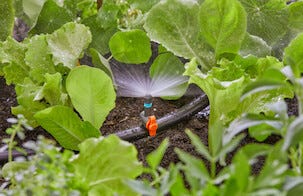 Gardena reguleringsventil 3/16 tomme, 5-pakning