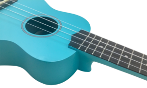 Ukulele Joy