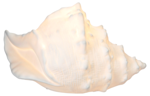 Pöytävalaisin Snäcka posliinia, Northlight