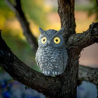 Northlight Pöllö valaisevat silmät, aurinkokenno, 14,5 cm