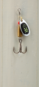 Betessats 10-pack Gavia