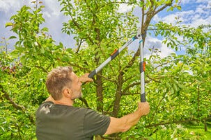 Gardena TeleCut Basic grensax med teleskopskaft, sidoskär