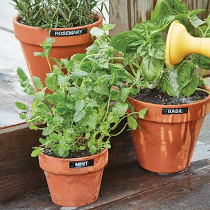 Märkband Dymo D1 Durable