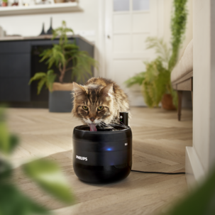 Philips Pet Series vattenfontän för katt, 2,2 liter