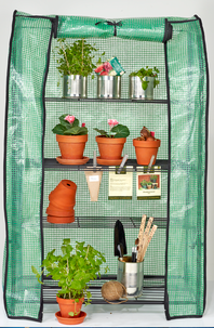 Miniväxthus/blomhylla