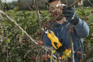 Stiga SC 100e Kit batteridrevet hagesaks, 1 batteri 20 V