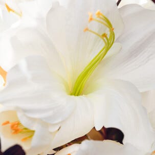 Konstgjord amaryllis, 61 cm
