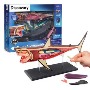 Discovery 4D Shark Anatomy Kit byggesett hai, fra 6 år