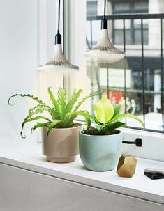 Växtlampa LED E27 fullspektrum, odlingslampa inomhus, 32 W