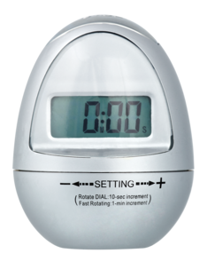 Digital timer
