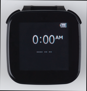 LiveView™ micro display