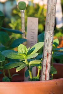 Nelson Garden jordtermometer