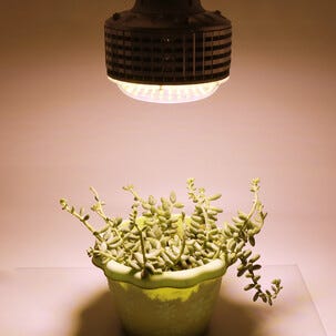 Växtlampa LED E27 fullspektrum, odlingslampa inomhus, 60 W